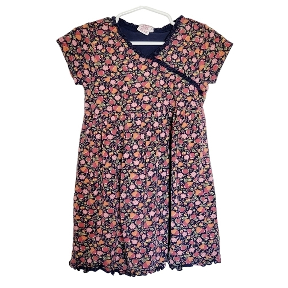 K1131 * Gymboree Girls Floral/Fruit Print Dress Blue Pink Size M 4 Yrs